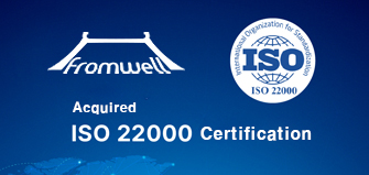 2005 year